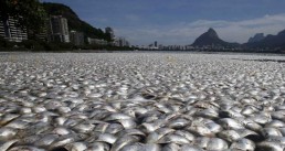 دراسة: 400 منطقة ميتة في جميع محيطات العالم