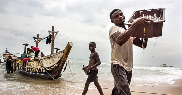 الآثار الصحية للتغير البيئي العالمي