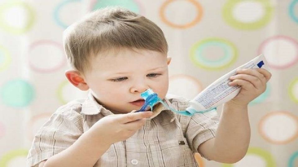 التواصل مع الطبيعة والصحة العقلية