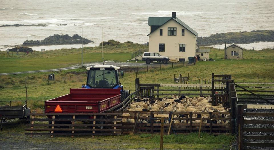 الصحة الجيدة