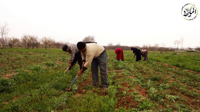 حماة  الفلاحون و التمويل..!