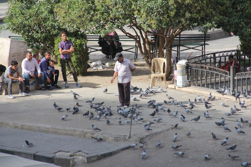 الضمانات الاستثمارية... خطوة هامة لكنها غير كافية أيضاً