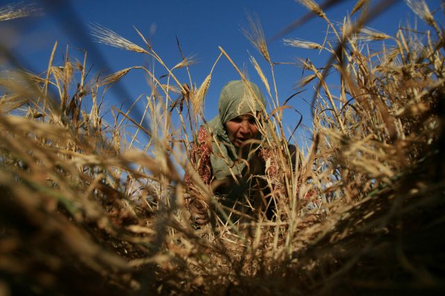 20 مليار ليرة &laquo;غير مفسرة&raquo; في استيراد قمح 2019