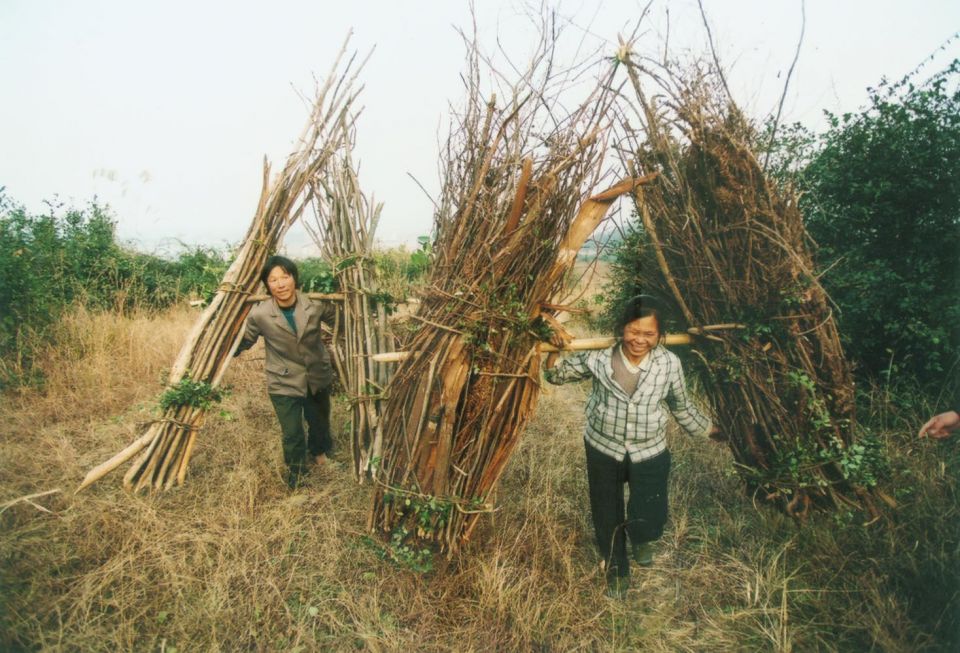 آراء حول تنفيذ استراتيجية إنهاض الأرياف الصينية