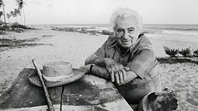 طفل أحمر من حقول الكاكاو