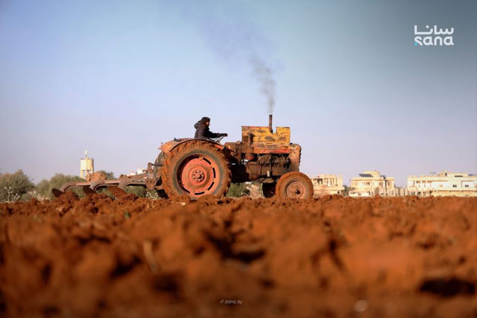 شبح الخسائر يطارد مزارعي القمح... والأرقام الأولية لموسم 2026 تؤكد تراجع المساحات...!