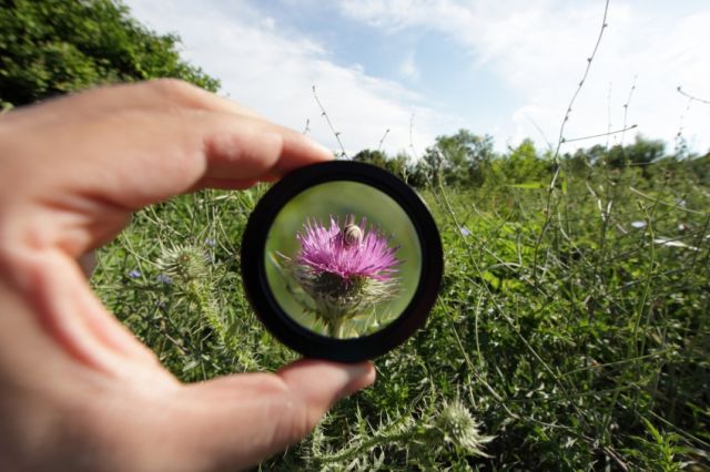 ما يتمنى العلماء أن نفهمه جيداً