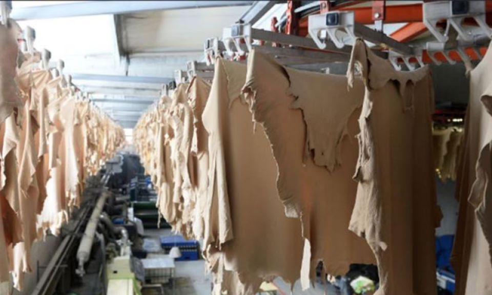 دباغة الجلود... إرثٌ قديم وتحديات كبيرة