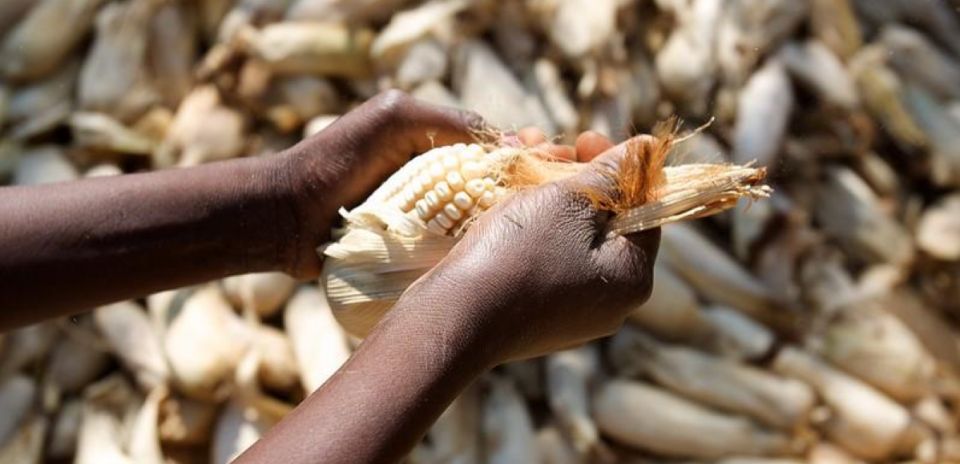 قمّة أغذية لسارقي الأغذية