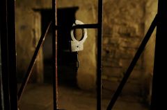 36 أسيراً في سجن "نفحة" نقلوا يوم أمس، إلى ما يعرف بالمستشفى الميداني في "هداريم"