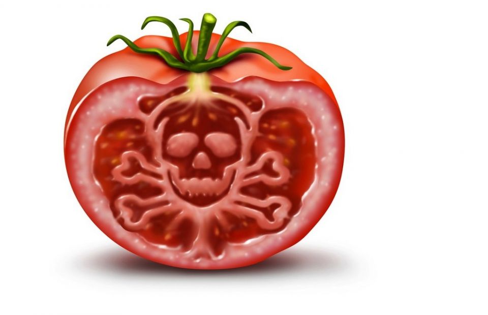 أخبار العلم