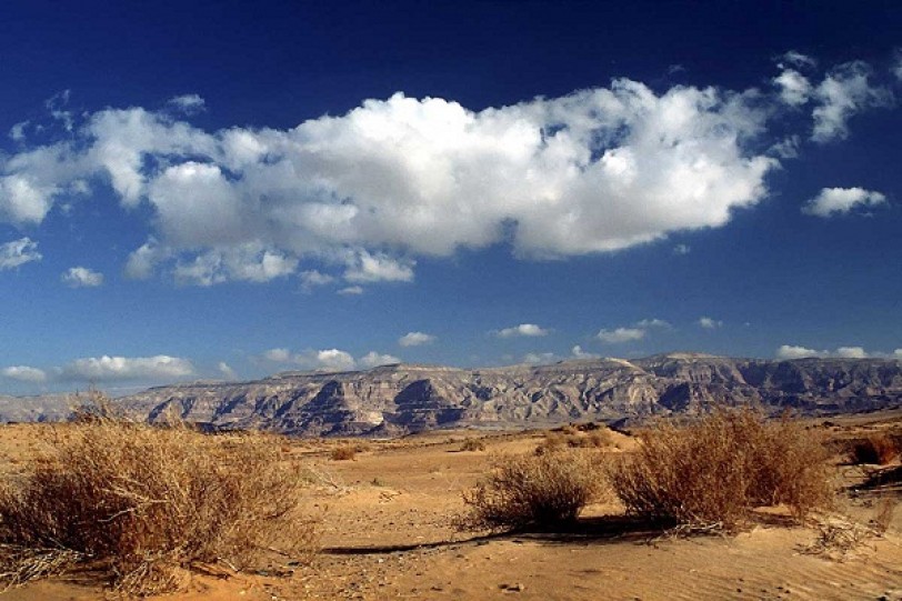 سيناء 2015 .. حقائق وأكاذيب وأسرار