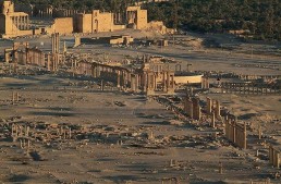 الأمانة السورية للتنمية تدعو لحماية تدمر والإرث الثقافي السوري