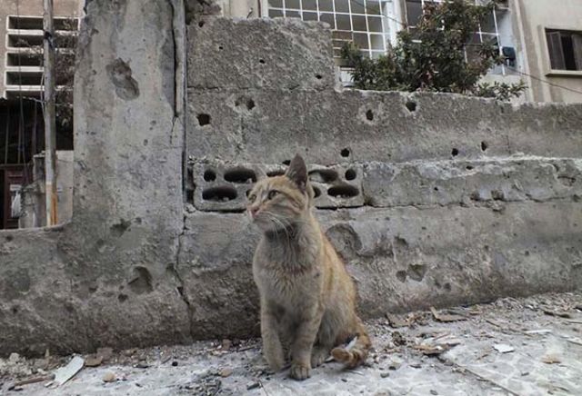 وجدتها: تحول الطاقة وتناقضاته