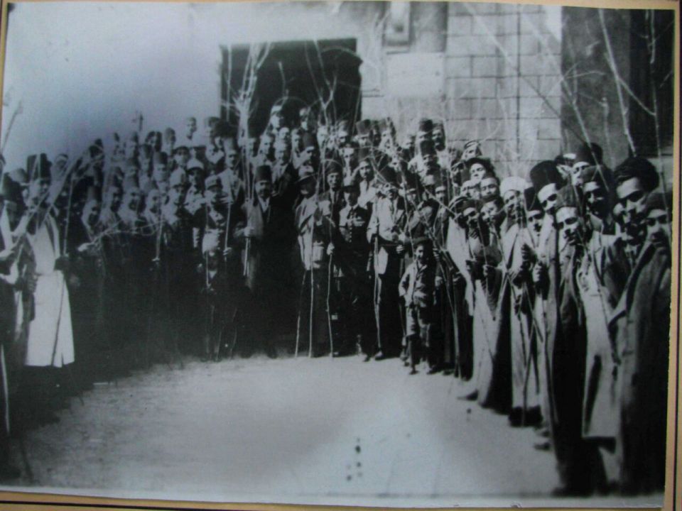 صفصاف الخابور