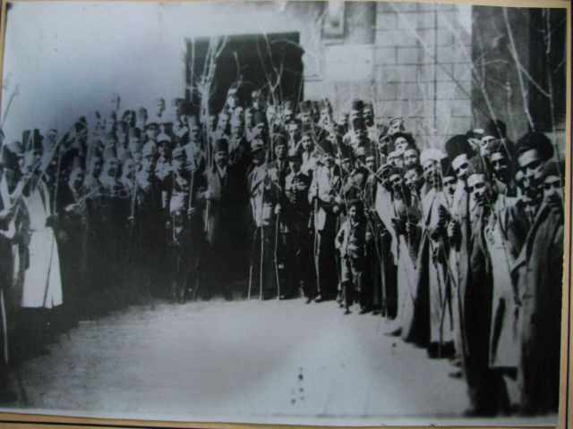 صفصاف الخابور