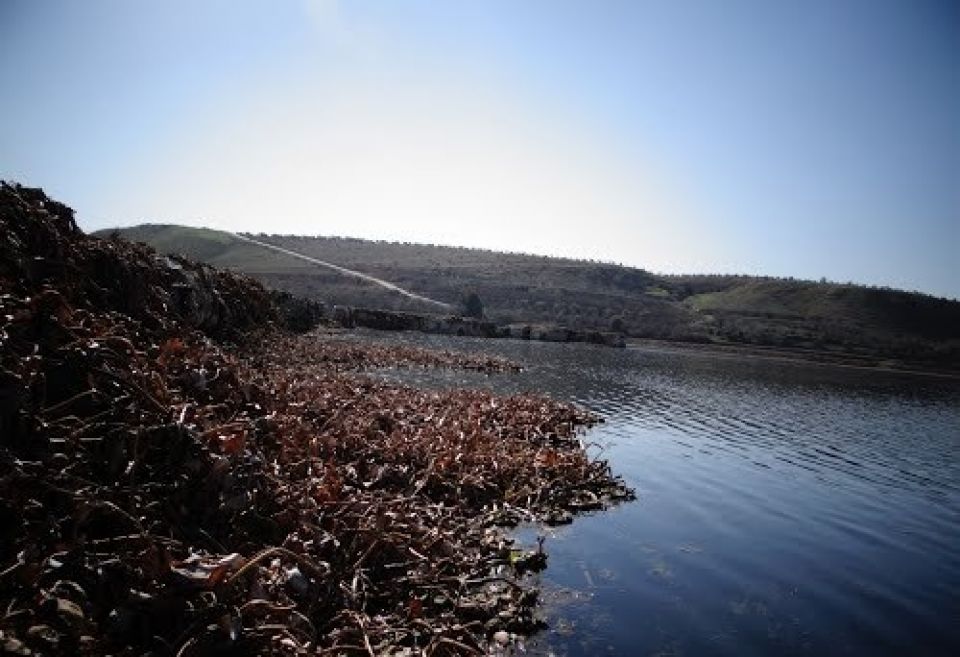 (محردة) والتلوث البيئي