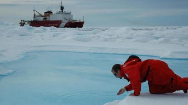 الاحتيال البيئي: استجابة سريعة وسهلة