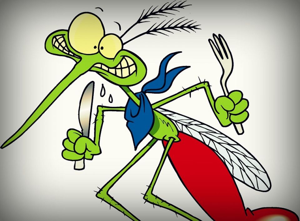 يبدو بأنّ هنالك شيء ما فيك، أي غدائها، يصدر رائحة من مسافة بعيدة