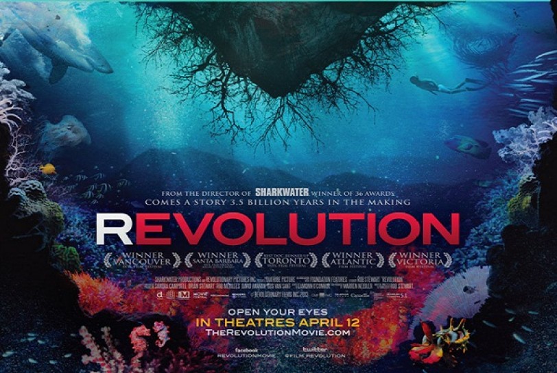 السينما تعانق الأزرق الكبير