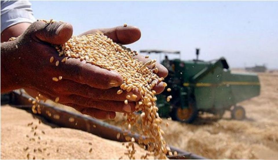 الثورة الزراعية التي لم تتم..  «نحن قلعة حصينة لا يخترقها أحد،  فسورية لديها اكتفاء ذاتي،  وتمتلك أمنها الغذائي»