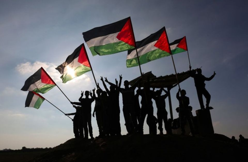 في الذكرى 45 ليوم الأرض دعوات شعبية لرفع العلم الفلسطيني وحده