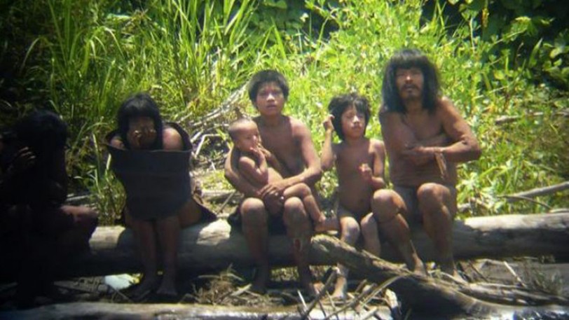 البيرو تخطط لعمل أول تواصل مع قبائل الأمازون البدائية المعزولة