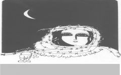 مؤتمر  &laquo;نسوية أعمال&raquo; تطبيعي صهيوني في دبي