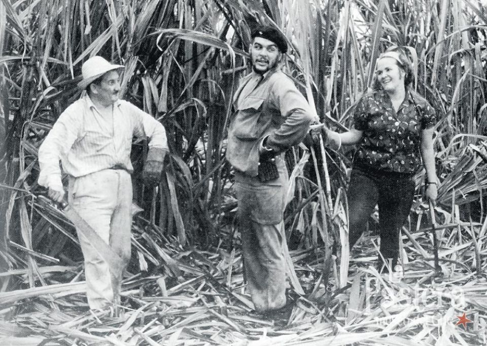 الشخصيّة المغيَّبة لغيفارا كقائدٍ في العِلم والصناعة (2)