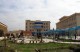 متطوعون في جامعة الموصل.. "هذه مدينتنا وجامعتنا"