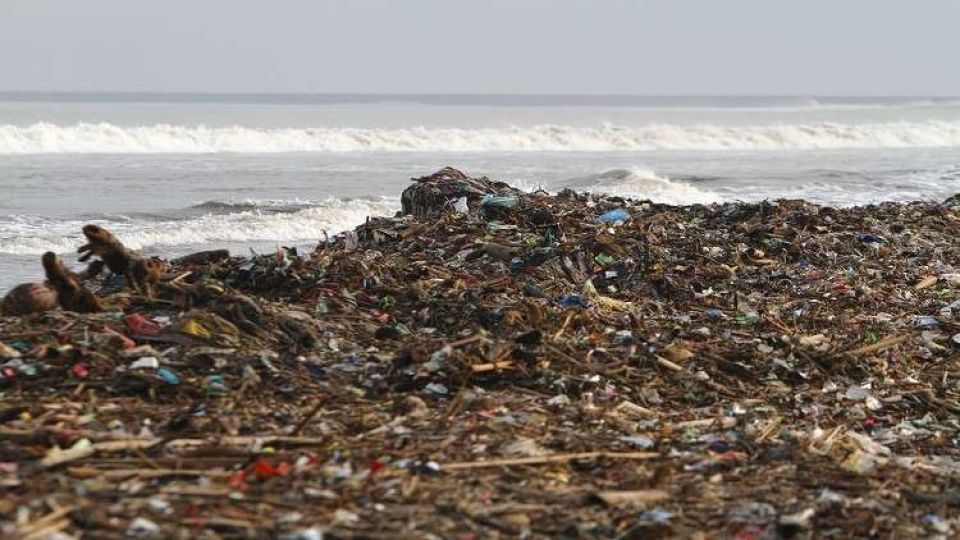 تحذيرات من كارثة سمية في مياه المحيطات