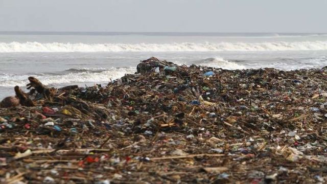 تحذيرات من كارثة سمية في مياه المحيطات