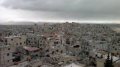بين الشبيحة والدبيحة ضاعت مديحة