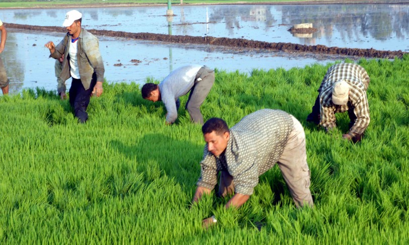 المعدلة مرة أخرى