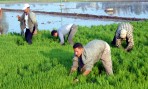 المعدلة مرة أخرى