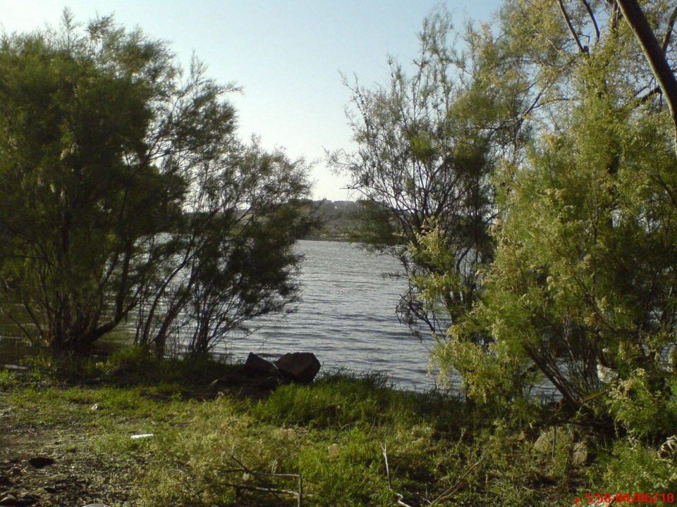 المياه الملوثة في السويداء..!