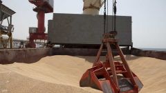 تأكيد جديد على أن روسيا سترسل الحبوب والأسمدة للدول الفقيرة مجاناً