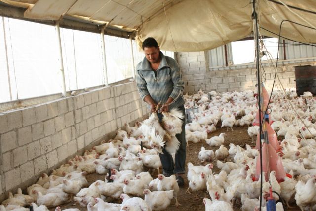 سوق العمل غير المنظَّم