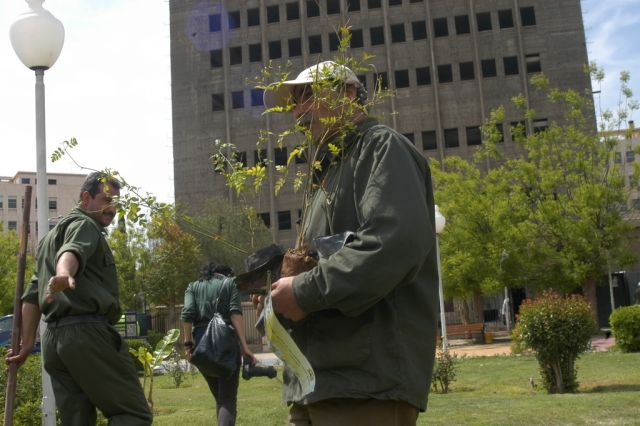 لتوسيع مظلة التأمينات