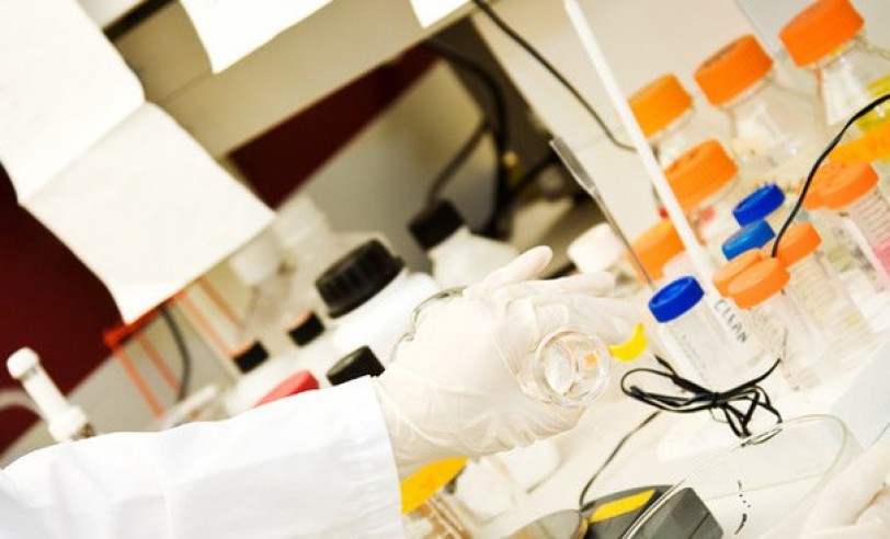 علماء: استنبات كليون الكلى من الخلايا الجذعية