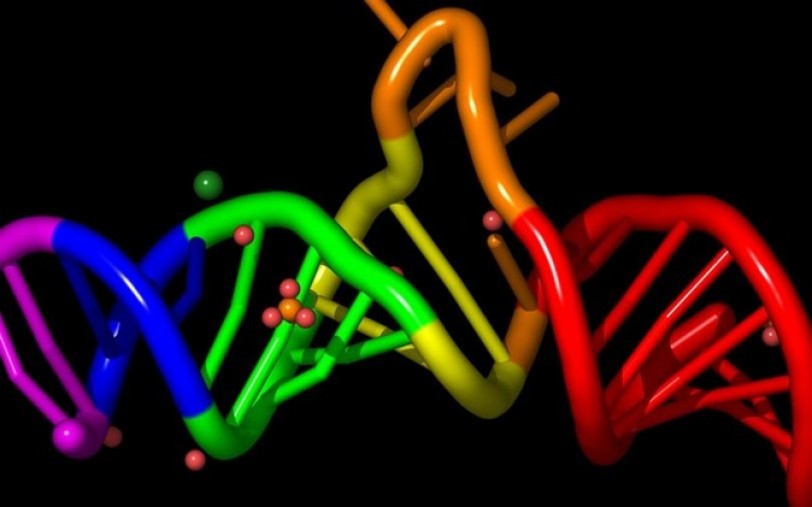الحياة على الأرض ظهرت بفضل الحمض النووي الريبوزي والبروتينات