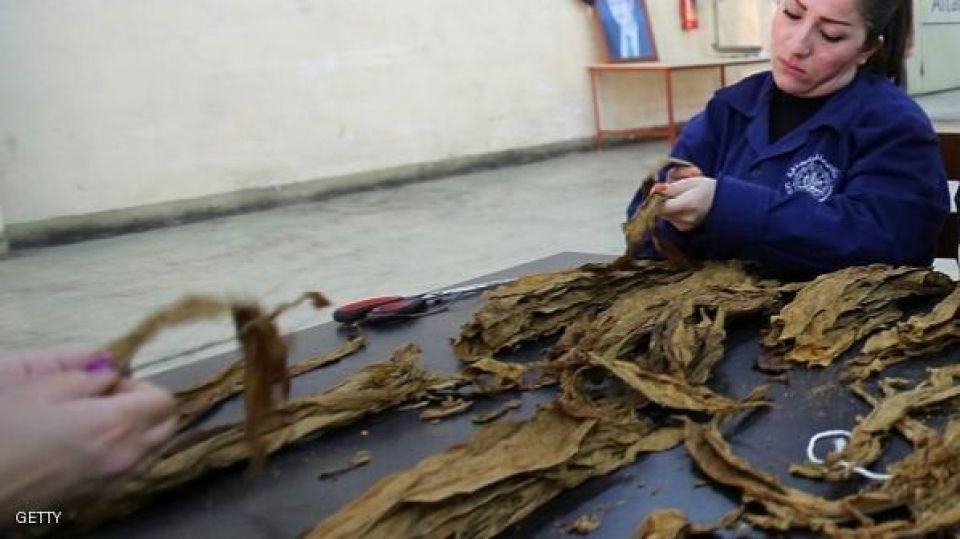 مؤتمر نقابة عمال التبغ.. يجب تعويض المهن الشاقة حسب المرسوم 61