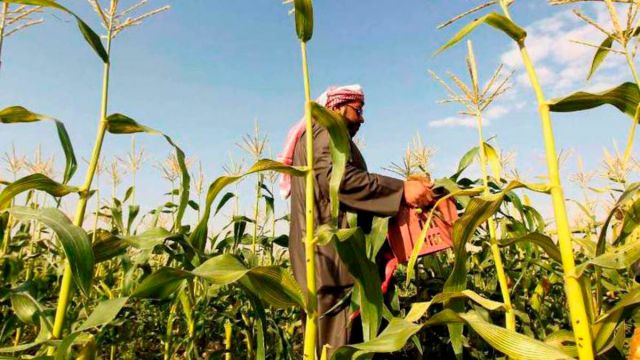 &laquo;مبادرات خضراء&raquo; في اتصال هاتفي بين الرئيس الصيني ووليّ العهد السعودي