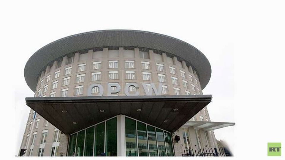 سوريا تدعو رسميا منظمة حظر الأسلحة الكيميائية لإرسال فريقها إلى دوما