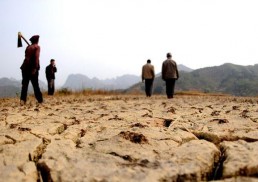 تقرير: ارتفاع مستويات الاحتباس الحراري بأعلى وتيرة منذ عام 1984