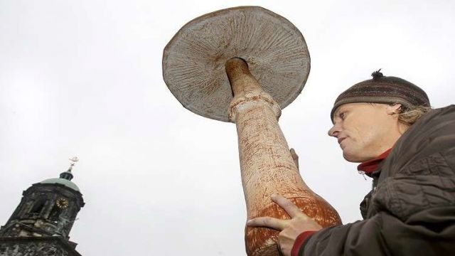 هل ينفع الفطر للأمراض النفسية؟