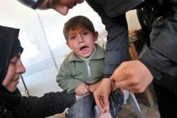 اللشمانيا تنتعش وتتمدد..