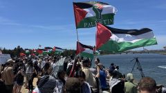 ارتفاع التضامن الشعبي العالَمي مع فلسطين كمّاً ونوعاً