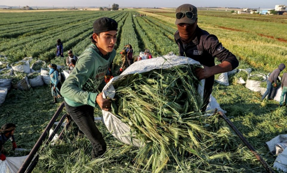 عند الحكومة.. كل شي بحسابه