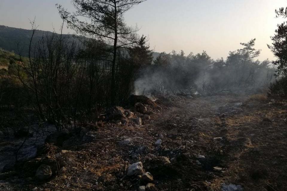 حرائق الغابات المفتعلة تعود مجدداً  هل تغيّرت الجاهزية الحكومية أم ستتكرر مآسي الخريف؟